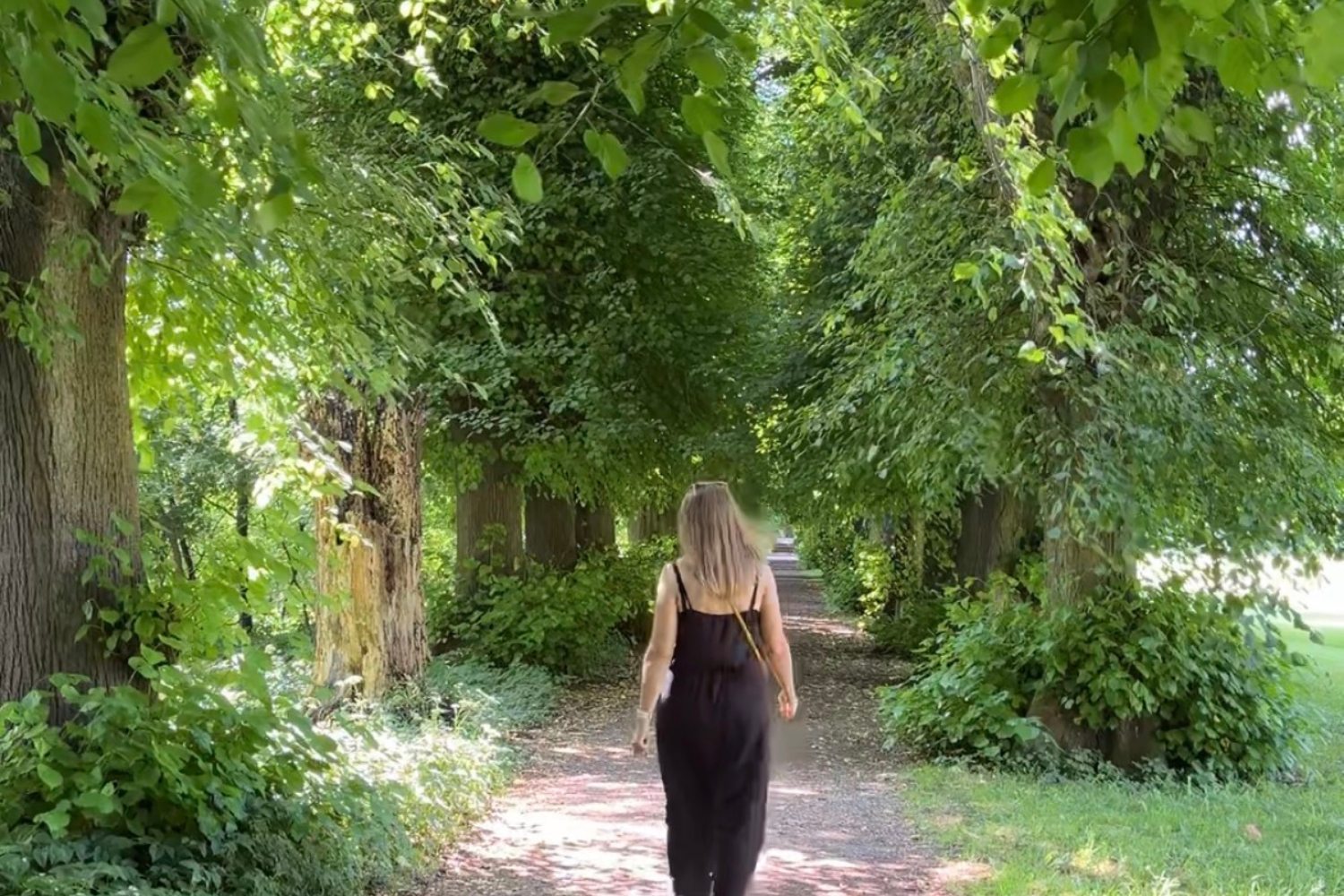 Unternehmerin geht nachdenklich durch den Wald und reflektiert ihre Erfahrung. Unternehmerin geht nachdenklich durch den Wald und reflektiert ihre Erfahrung.